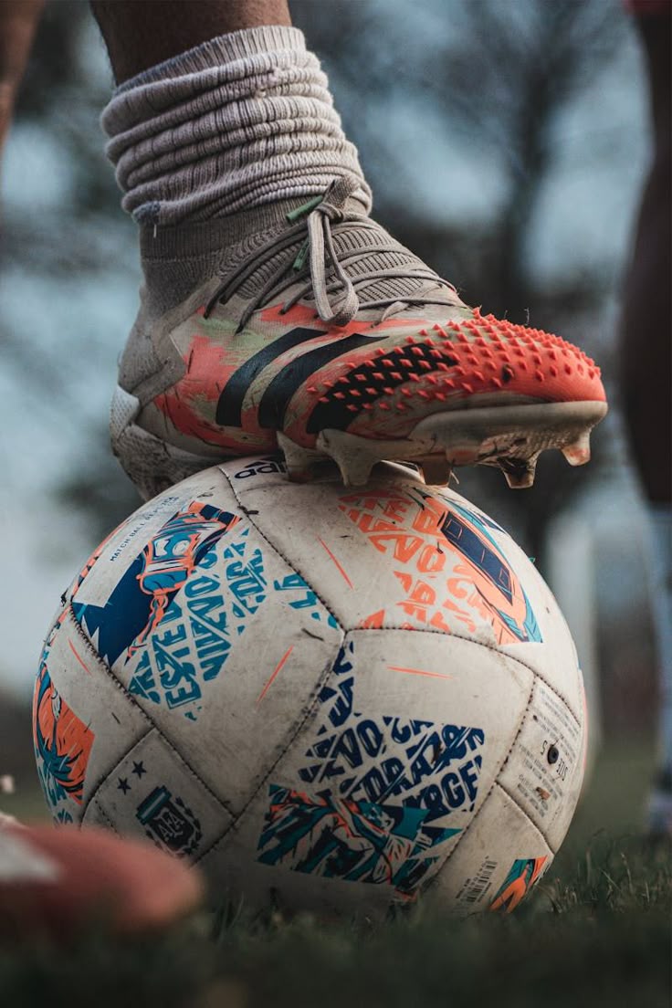 DY SPORTS ONLINE STORE